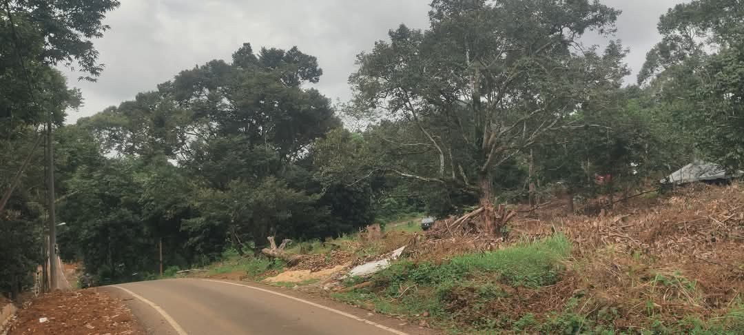 SP110 - TANAH PERTANIAN 1,83 EKAR - JALAN ANGGERIK (BERHAMPIRAN LOGI RAWATAN AIR KAHANG) KLUANG.