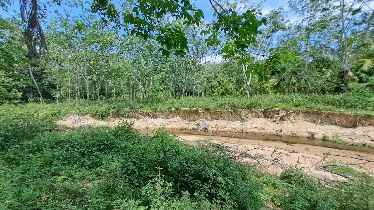 Tanah Kebun Getah Nyalas