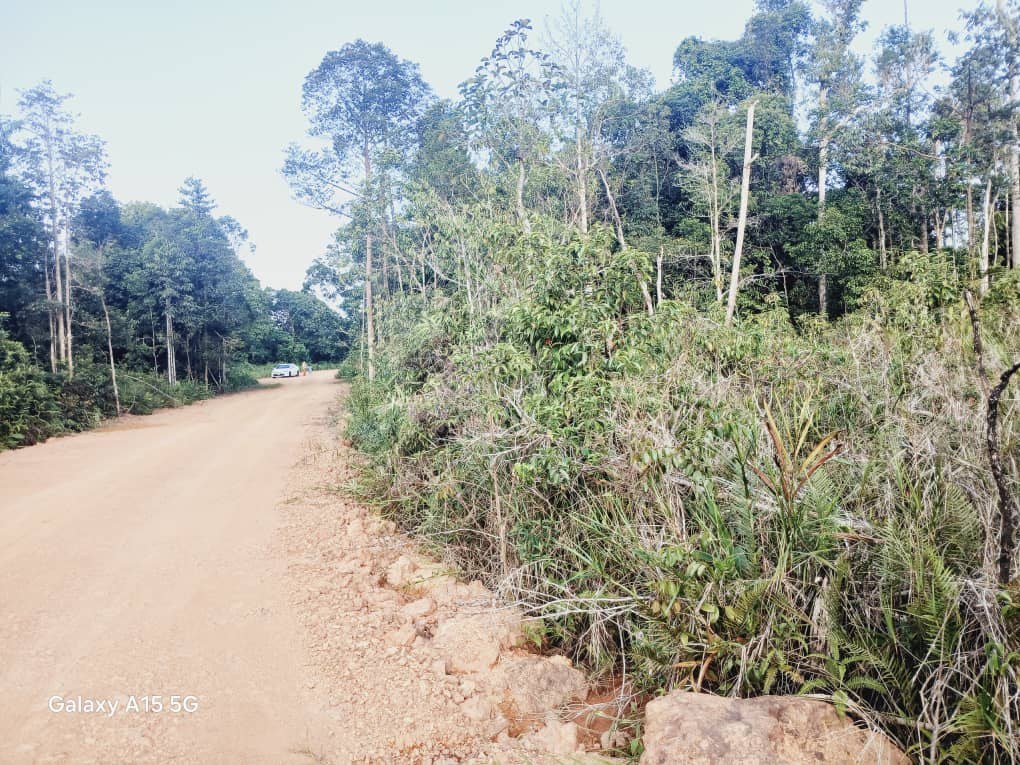 SP80 - TANAH PERTANIAN 1.848 EKAR - BUKIT PELALI PENGERANG.
