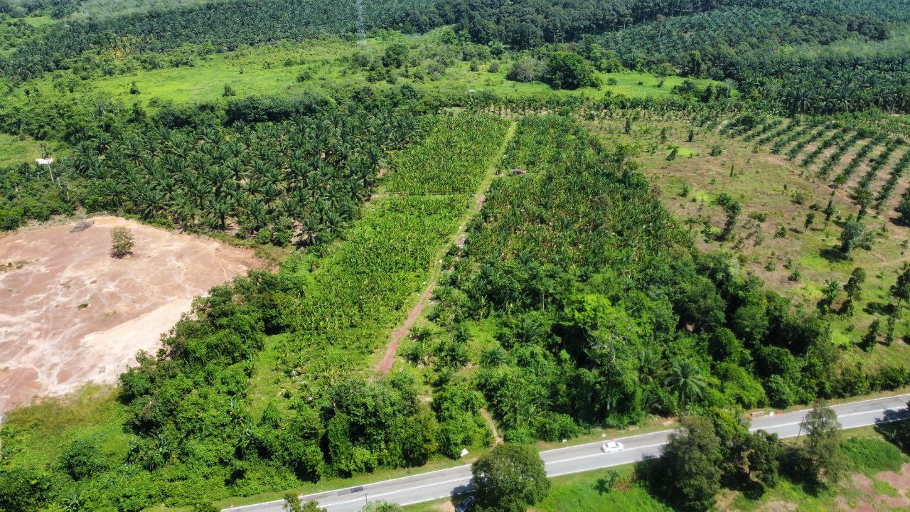FREEHOLD : Tanah 3ekar Chohong,Jasin Melaka